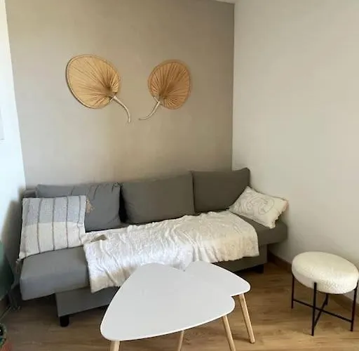 Bel Vue Acces Direct Plage, Wifi Fibre Gratuit Apartamento Canet-en-Roussillon